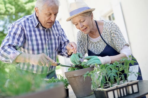 gardening-in-blue-ridge-ga-assisted-living-how-to-get-started
