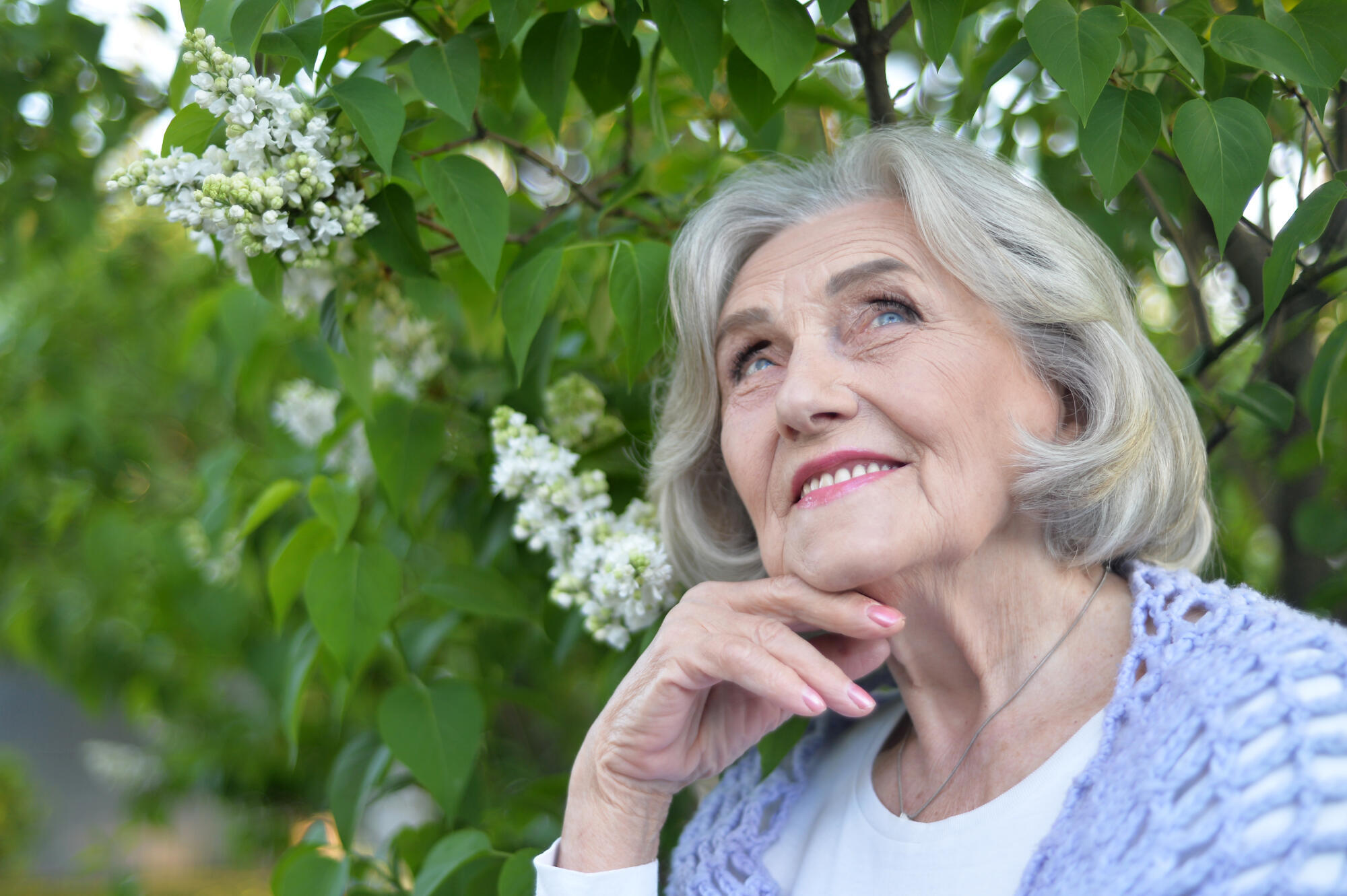 Living in North Carolina Means Mild Weather and Major Perks